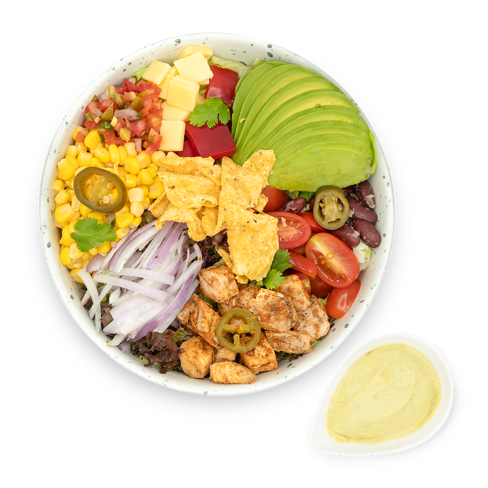 The Vegan Amigo